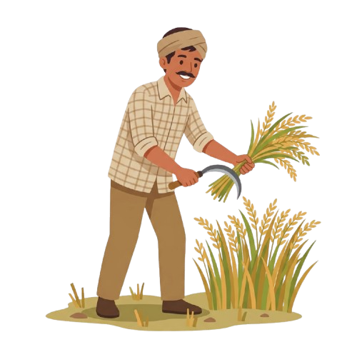क्या BMSK हीटवेव और कोल्ड वेव चेतावनी जारी करता है?